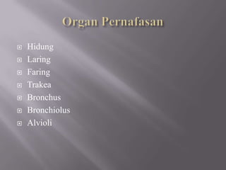Organ PernafasanHidungLaringFaringTrakeaBronchusBronchiolusAlvioli