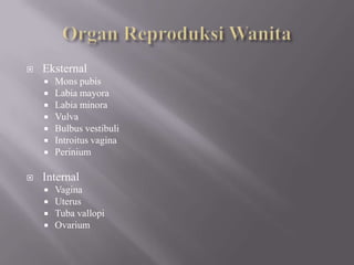 Organ ReproduksiWanitaEksternalMons pubisLabia mayoraLabia minoraVulvaBulbusvestibuliIntroitus vaginaPeriniumInternalVaginaUterusTuba vallopiOvarium