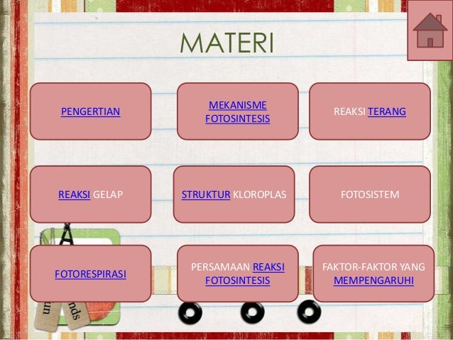 A.09.Annisaa Meyrizka.PPT FOTOSINTESIS