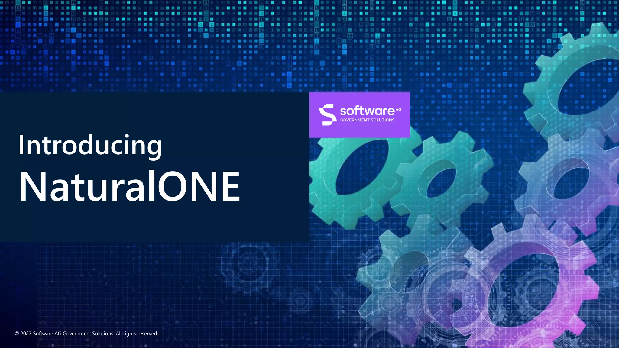 © 2022 Software AG Government Solutions. All rights reserved.
Introducing
NaturalONE
 