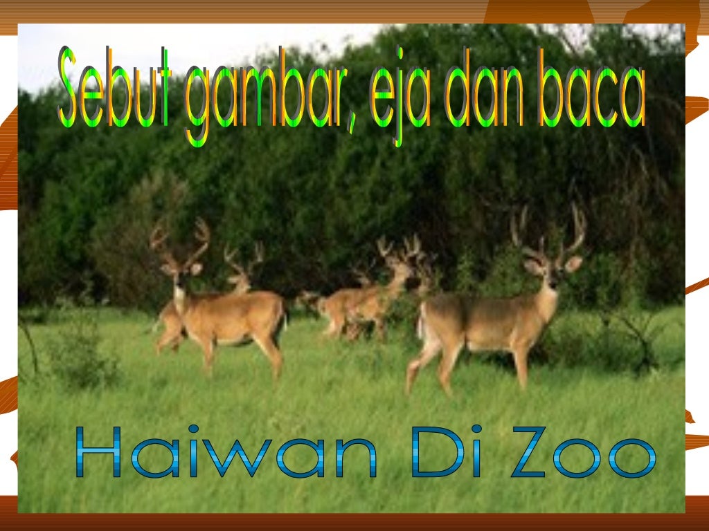 Nama haiwan di zoo