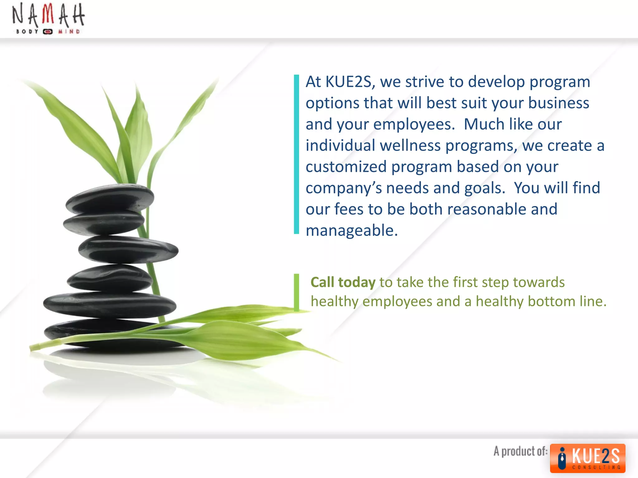 Kue2s Consulting - Wellness Program