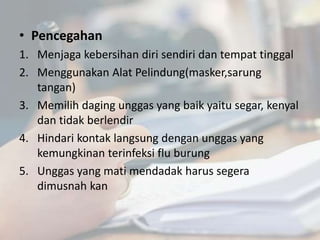 • Pencegahan
1. Menjaga kebersihan diri sendiri dan tempat tinggal
2. Menggunakan Alat Pelindung(masker,sarung
tangan)
3. Memilih daging unggas yang baik yaitu segar, kenyal
dan tidak berlendir
4. Hindari kontak langsung dengan unggas yang
kemungkinan terinfeksi flu burung
5. Unggas yang mati mendadak harus segera
dimusnah kan
 