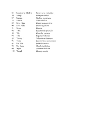85 Sansevieria Silindris Sansevieria cylindrica 
86 Santigi Phempis acidula 
87 Sapratu Sindora sumatrana 
88 Saraka Saraca indica 
89 Sawi Hijau Brassica campestris 
90 Sawi Putih Brassica juncea 
91 Sawo Zapota 
92 Tebu Saccharum officinale 
93 Teh Camellia sinensis 
94 Teki Cyperus roduntus 
95 Terong Solanum melongenae 
96 Tomat Lycopersicon esculentum 
97 Ubi Jalar Ipomoea batata 
98 Ubi Kayu Manihot utilisima 
99 Wijen Sesamum indicum 
100 Wortel Daucus carota 
