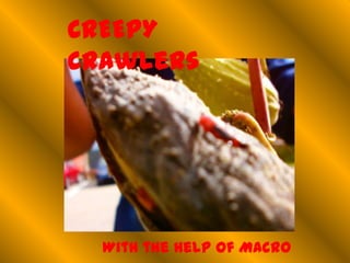 CREEPY
crawlers
With the help of Macro