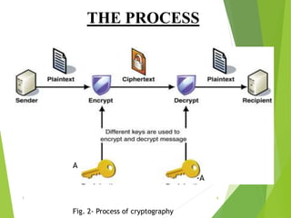 THE PROCESS
Fig. 2- Process of cryptography
A
-A
1 6
 