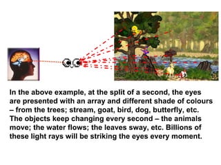 In the above example, at the split of a second, the eyes
are presented with an array and different shade of colours
– from the trees; stream, goat, bird, dog, butterfly, etc.
The objects keep changing every second – the animals
move; the water flows; the leaves sway, etc. Billions of
these light rays will be striking the eyes every moment.
 