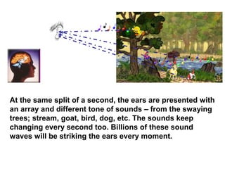At the same split of a second, the ears are presented with
an array and different tone of sounds – from the swaying
trees; stream, goat, bird, dog, etc. The sounds keep
changing every second too. Billions of these sound
waves will be striking the ears every moment.
 