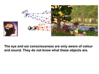 The eye and ear consciousness are only aware of colour
and sound. They do not know what these objects are.
 