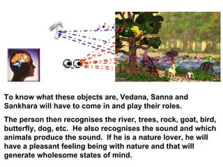 To know what these objects are, Vedana, Sanna and
Sankhara will have to come in and play their roles.
The person then recognises the river, trees, rock, goat, bird,
butterfly, dog, etc. He also recognises the sound and which
animals produce the sound. If he is a nature lover, he will
have a pleasant feeling being with nature and that will
generate wholesome states of mind.
 
