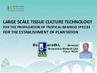 LARGE SCALE TISSUE CULTURE TECHNOLOGY
FOR THE PROPAGATION OF TROPICAL BAMBOO SPECIES
FOR THE ESTABLISHMENT OF PLANTATION
Dr. N.Barathi, Director
Growmore Biotech Ltd.
Hosur, INDIA,
 