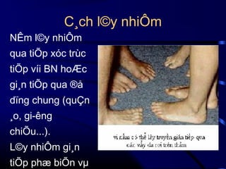 C¸ch l©y nhiÔm
NÊm l©y nhiÔm
qua tiÕp xóc trùc
tiÕp víi BN hoÆc
gi¸n tiÕp qua ®å
dïng chung (quÇn
¸o, gi­êng
chiÕu...).
L©y nhiÔm gi¸n
tiÕp phæ biÕn vµ

 