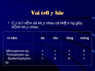 Vai trß y häc
• C¸c lo¹i nÊm da kh¸c nhau cã kh¶ n¨ng g©y
bÖnh kh¸c nhau:
vi nấm

Microsporum sp.
Trichophyton sp.
Epidermophyton
sp.
 

da

tóc

lông

móng

+
+
+

+
+
0

+
+
0

0
+
+

 