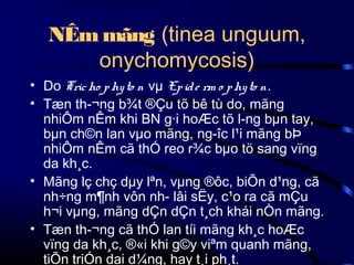 NÊm mãng (tinea unguum,
onychomycosis)
• Do Tric ho p hy to n vµ Ep id e rm o p hy to n.
• Tæn th­¬ng b¾t ®Çu tõ bê tù do, mãng
nhiÔm nÊm khi BN g·i hoÆc tõ l­ng bµn tay,
bµn ch©n lan vµo mãng, ng­îc l¹i mãng bÞ
nhiÔm nÊm cã thÓ reo r¾c bµo tö sang vïng
da kh¸c.
• Mãng lç chç dµy lªn, vµng ®ôc, biÕn d¹ng, cã
nh÷ng m¶nh vôn nh­ lâi sËy, c¹o ra cã mÇu
h¬i vµng, mãng dÇn dÇn t¸ch khái nÒn mãng.
• Tæn th­¬ng cã thÓ lan tíi mãng kh¸c hoÆc
vïng da kh¸c, ®«i khi g©y viªm quanh mãng,
tiÕn triÓn dai d¼ng, hay t¸i ph¸t.

 