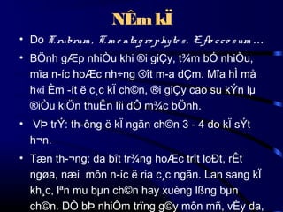 NÊm kÏ
• Do T. rubrum , T. m e nta g ro p hy te s , E. flo c c o s um …
• BÖnh gÆp nhiÒu khi ®i giÇy, t¾m bÓ nhiÒu,
mïa n­íc hoÆc nh÷ng ®ît m­a dÇm. Mïa hÌ må
h«i Èm ­ít ë c¸c kÏ ch©n, ®i giÇy cao su kÝn lµ
®iÒu kiÖn thuËn lîi dÔ m¾c bÖnh.
• VÞ trÝ: th­êng ë kÏ ngãn ch©n 3 - 4 do kÏ sÝt
h¬n.
• Tæn th­¬ng: da bît tr¾ng hoÆc trît loÐt, rÊt
ngøa, næi môn n­íc ë ria c¸c ngãn. Lan sang kÏ
kh¸c, lªn mu bµn ch©n hay xuèng lßng bµn
ch©n. DÔ bÞ nhiÔm trïng g©y môn mñ, vÈy da,

 