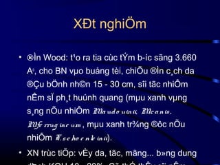 XÐt nghiÖm
• ®Ìn Wood: t¹o ra tia cùc tÝm b­íc sãng 3.660
Ao, cho BN vµo buång tèi, chiÕu ®Ìn c¸ch da
®Çu bÖnh nh©n 15 - 30 cm, sîi tãc nhiÔm
nÊm sÏ ph¸t huúnh quang (mµu xanh vµng
s¸ng nÕu nhiÔm Ma ud o uinii, Mc a nis ,
.
.
Mfe rrug ine um , mµu xanh tr¾ng ®ôc nÕu
.
nhiÔm T. s c ho e nle inii).
• XN trùc tiÕp: vÈy da, tãc, mãng... b»ng dung

 
