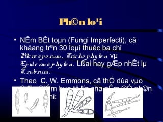 Ph©n lo¹i
Chi

• NÊm BÊt toµn (Fungi Imperfecti), cã
kháang trªn 30 loµi thuéc ba chi
M ro s p o rum , Tric ho p hy to n vµ
ic
Ep id e rm o p hy to n. Lßai hay gÆp nhÊt lµ
T. rubrum .
• Theo C. W. Emmons, cã thÓ dùa vµo
®Æc ®iÓm bµo tö lín cña nÊm ®Ó ph©n
biÖt ba chi:

 