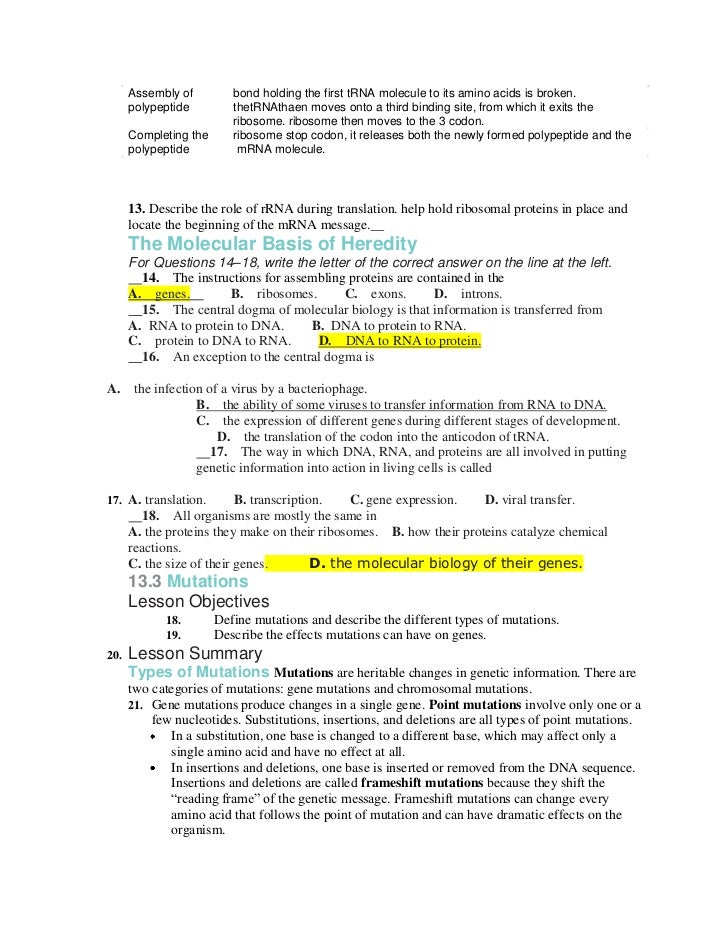 ++ control of gene expression in prokaryotes pogil worksheet answers  Insured By Laura