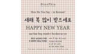새해 복 많이 받으세요 Happy New Year Korean How Do You Say in Korean