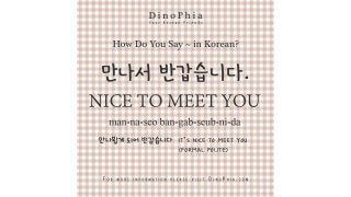 만나서 반갑습니다 nice to meet you Korean How Do You Say in Korean