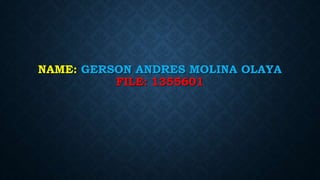 NAME: GERSON ANDRES MOLINA OLAYA
FILE: 1355601
 