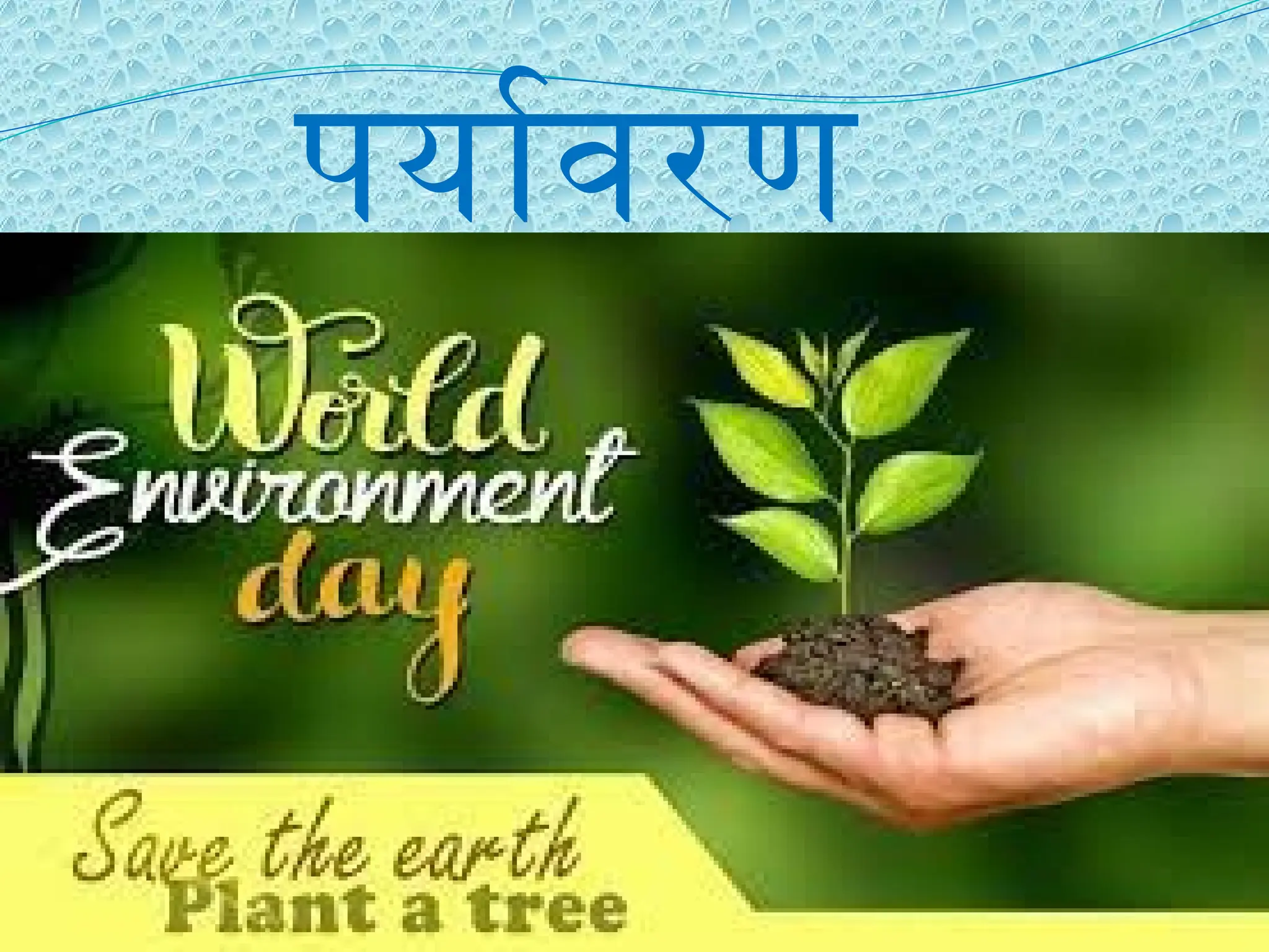 पर्यावरण
 