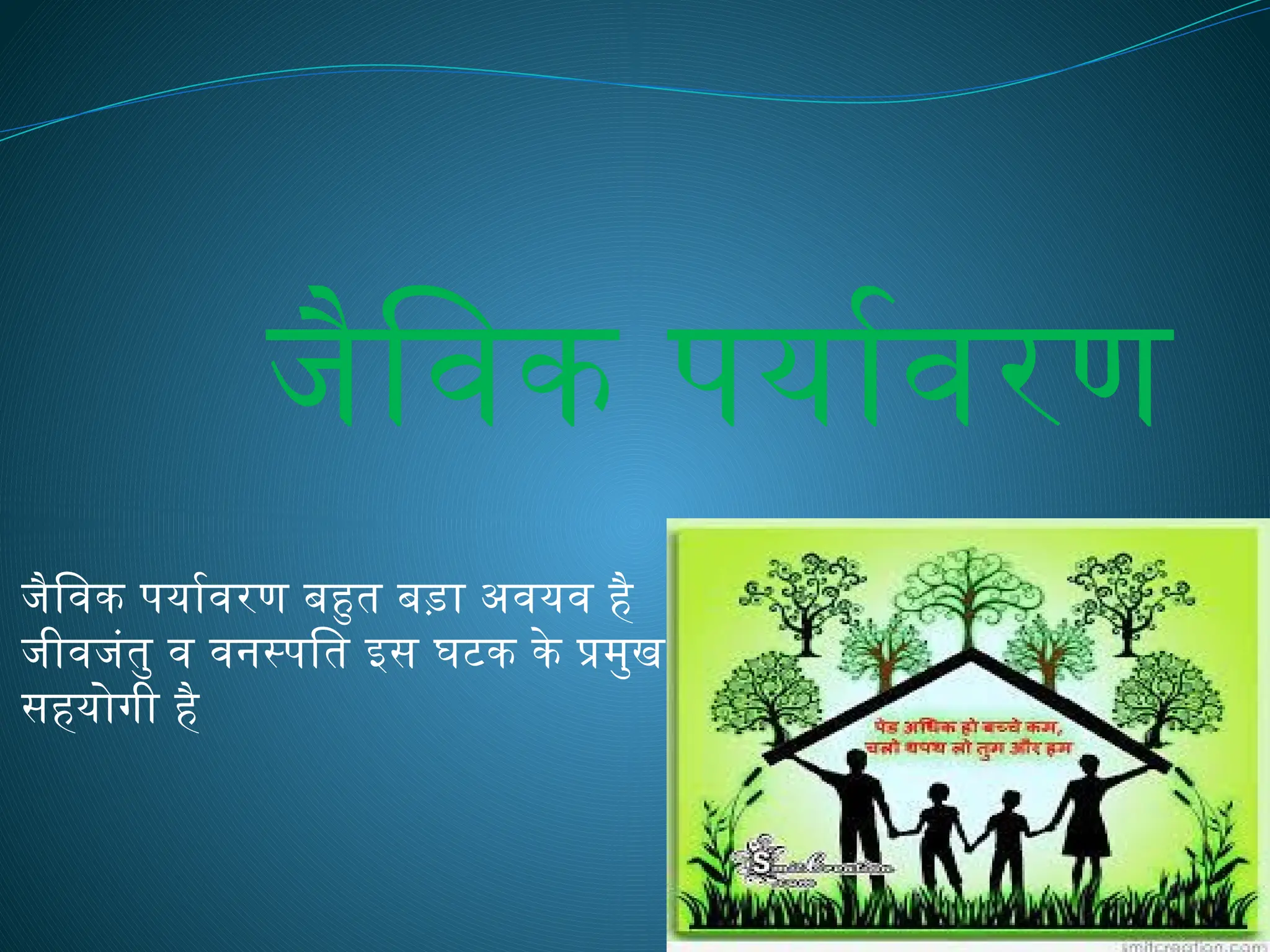 जैविक पर्यावरण
जैविक पर्यावरण बहुत बड़ा अवयव है
जीवजंतु व वनस्पति इस घटक के प्रमुख
सहयोगी है
 