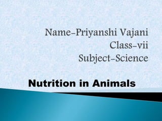 Nutrition in Animals
 