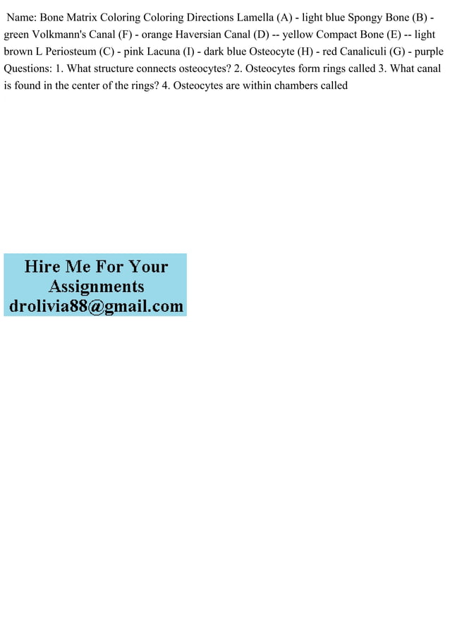 Name Bone Matrix Coloring Coloring Directions Lamella (A) - light bl.pdf