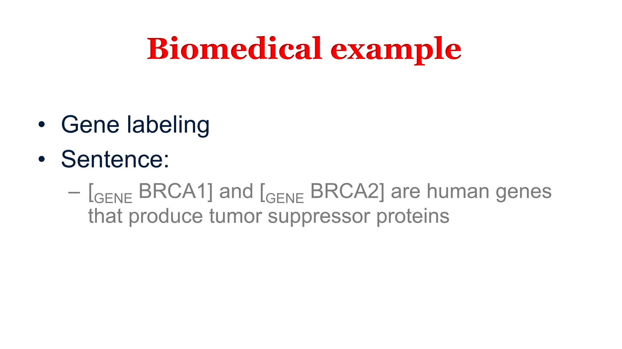 Biomedical example
• Gene labeling
• Sentence:
– [GENE BRCA1] and [GENE BRCA2] are human genes
that produce tumor suppressor proteins
 