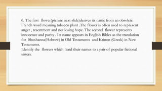 6. The first flower(picture next slide)derives its name from an obsolete
French word meaning tobacco plant .The flower is often used to represent
anger , resentment and not losing hope. The second flower represents
innocence and purity . Its name appears in English Bibles as the translation
for Shoshanna(Hebrew) in Old Testaments and Krinon (Greek) in New
Testaments.
Identify the flowers which lend their names to a pair of popular fictional
sisters.
 