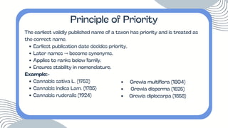 The earliest validly published name of a taxon has priority and is treated as
the correct name.
Earliest publication date decides priority.
Later names → become synonyms.
Applies to ranks below family.
Ensures stability in nomenclature.
Example:-
Cannabis sativa L. (1753)
Cannabis indica Lam. (1785)
Cannabis ruderalis (1924)
Principle of Priority
Grewia multiflora (1804)
Grewia disperma (1825)
Grewia diplocarpa (1858)
 