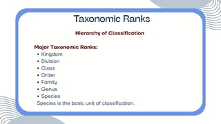 Hierarchy of Classification
Major Taxonomic Ranks:
Kingdom
Division
Class
Order
Family
Genus
Species
Species is the basic unit of classification.
Taxonomic Ranks
 