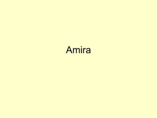 Amira 