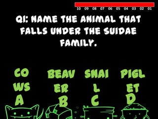 10 09 08 07 06 05 04 03 02 01


Q1: Name the animal that
 falls under the Suidae
         family.


co    beav snai pigl
ws     er   l    et
A       B        C            D
 
