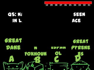 10 09 08 07 06 05 04 03 02 01



Q5: Name the dog breed seen
 in Lady Gaga’s Poker face
        music video.

Great America Alano Great
Dane    n     Espan Pyrene
      Foxhoun      ol            es
 A       B
         d        C            D
 