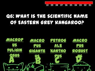 10 09 08 07 06 05 04 03 02 01




Q6: What is the scientific name
 of Eastern Grey kangaroo?


Macrop    Macro       Petrog        Macro
  us        pus         ale          pus
fuligin   gigante     xantho        robust
 osus
 A          B
             us         pus
                         C            D
                                      us
 