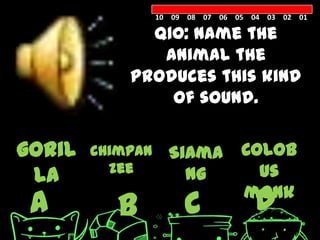 10 09 08 07 06 05 04 03 02 01

              Q10: Name the
               animal the
            produces this kind
                of sound.

goril   chimpan     Siama         Colob
          zee                       us
 la                   ng
 A         B           C            D
                                  monk
                                    ey
 