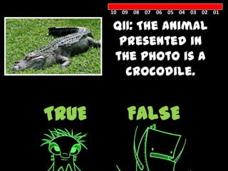 10 09 08 07 06 05 04 03 02 01

       Q11: The animal
        presented in
       the photo is a
         crocodile.


TRUE       FALSE
 