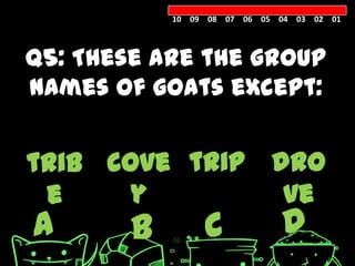10 09 08 07 06 05 04 03 02 01



Q5: These are the group
names of goats except:


trib cove trip dro
 e     y        ve
A       B        C            D
 