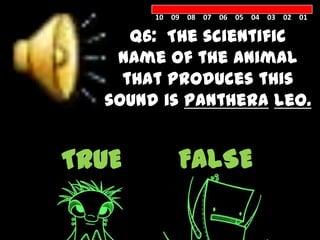 10 09 08 07 06 05 04 03 02 01

     Q6: The scientific
   name of the animal
    that produces this
  sound is Panthera leo.


TRUE       FALSE
 