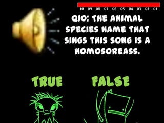10 09 08 07 06 05 04 03 02 01

         Q10: The animal
       species name that
       sings this song is a
         Homosoreass.


TRUE          FALSE
 