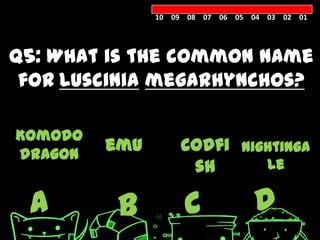 10 09 08 07 06 05 04 03 02 01




Q5: What is the common name
 for Luscinia megarhynchos?

Komodo
dragon
         emu       codfi nightinga
                    sh      le

 A        B         C            D
 