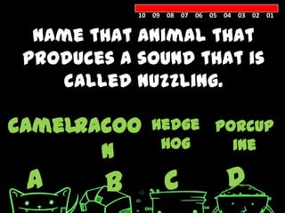 10 09 08 07 06 05 04 03 02 01


  Name that animal that
 produces a sound that is
    called nuzzling.

camelracoo     hedge porcup
                hog    ine
       n
 A       B        C            D
 