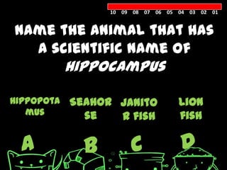 10 09 08 07 06 05 04 03 02 01


Name the animal that has
  a scientific name of
            Hippocampus

Hippopota   Seahor Janito           Lion
   mus        se   r fish           fish

  A           B        C            D
 
