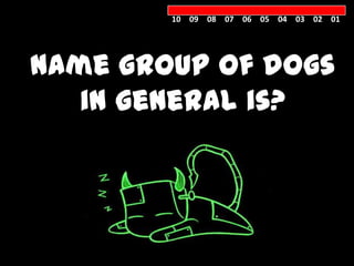 10 09 08 07 06 05 04 03 02 01




Name group of dogs
   in general is?


    KENNEL
 