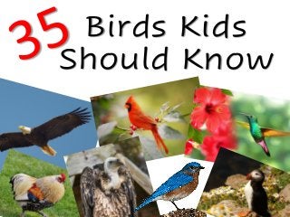 Birds Kids
Should Know
 