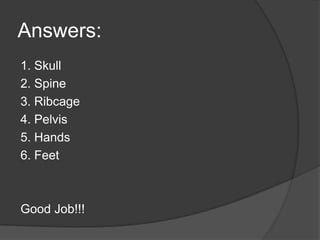 Answers:1. Skull 2. Spine3. Ribcage4. Pelvis5. Hands6. FeetGood Job!!! 