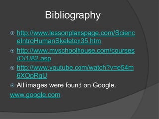 Bibliographyhttp://www.lessonplanspage.com/ScienceIntroHumanSkeleton35.htmhttp://www.myschoolhouse.com/courses/O/1/82.asphttp://www.youtube.com/watch?v=e54m6XOpRgUAll images were found on Google.www.google.com