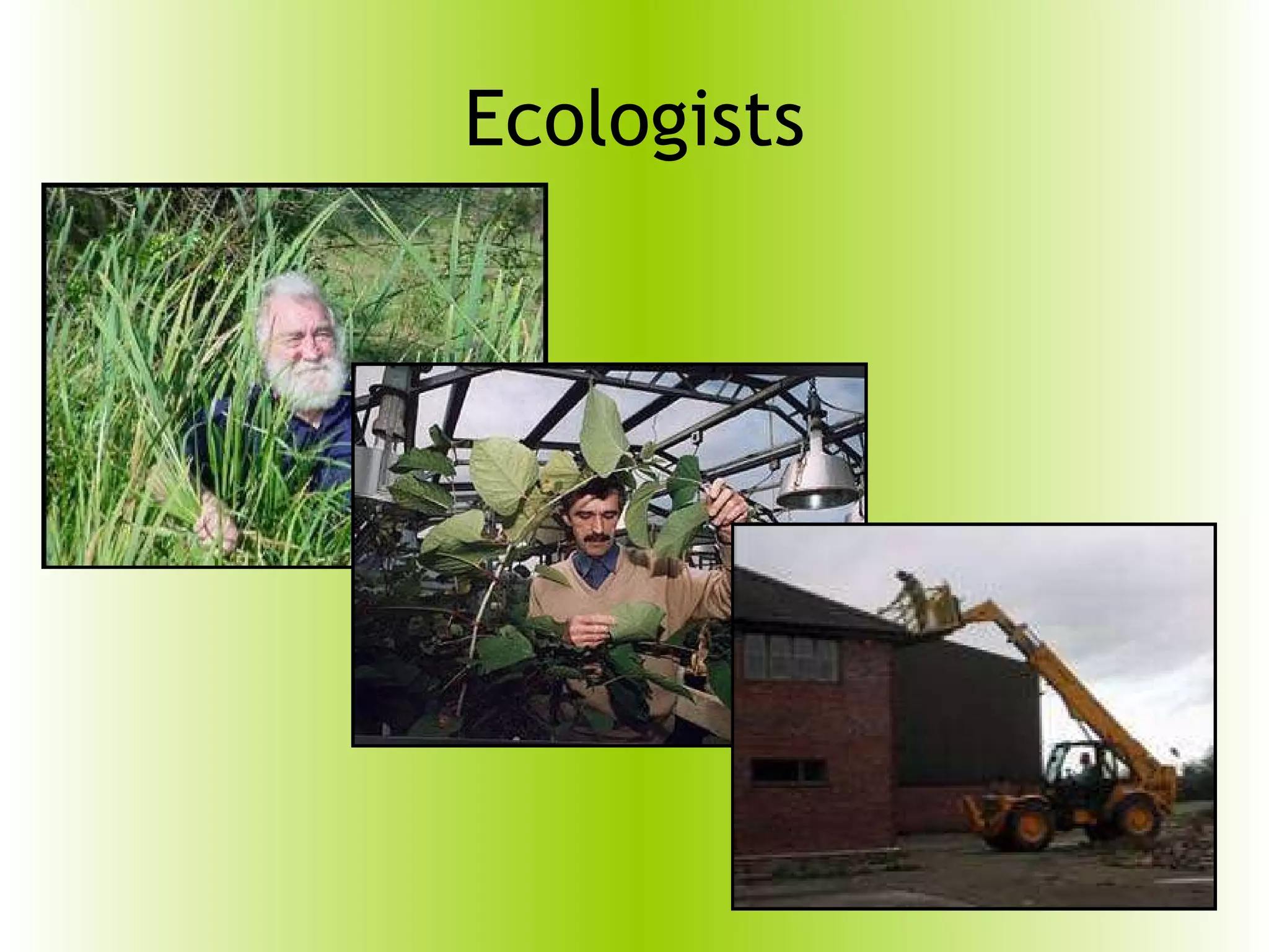 Namethat newt PPT